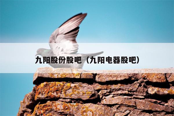 九阳股份股吧（九阳电器股吧）