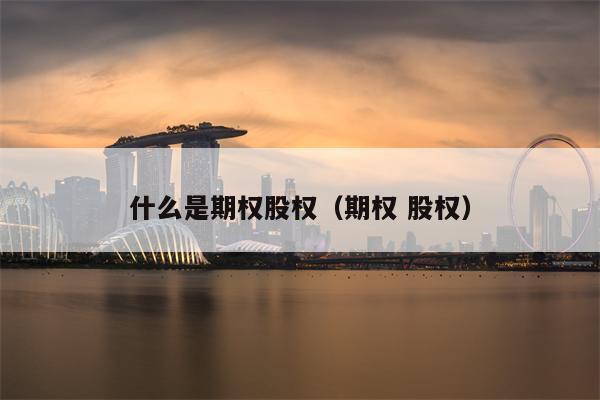 什么是期权股权（期权 股权）