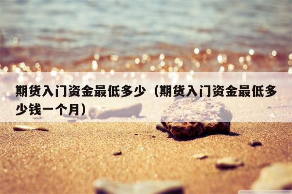 期货入门资金最低多少（期货入门资金最低多少钱一个月）