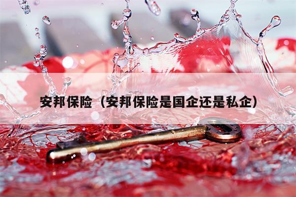 安邦保险（安邦保险是国企还是私企）