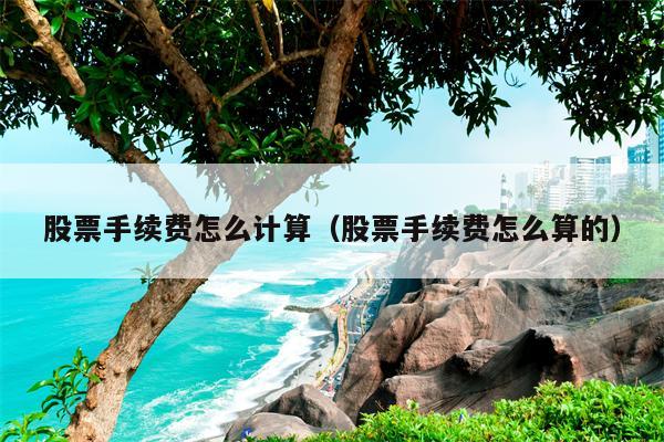 股票手续费怎么计算（股票手续费怎么算的）