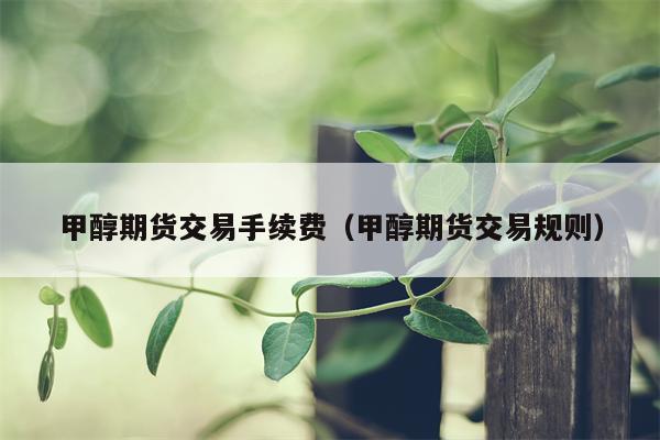 甲醇期货交易手续费（甲醇期货交易规则）