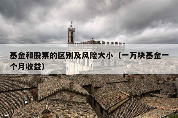 基金和股票的区别及风险大小（一万块基金一个月收益）