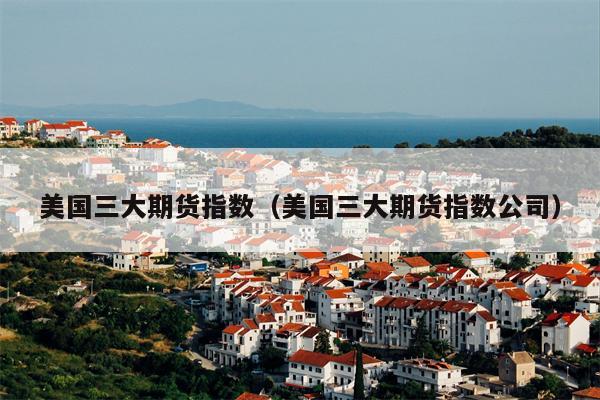 美国三大期货指数（美国三大期货指数公司）