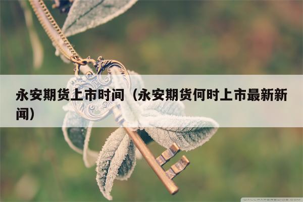 永安期货上市时间（永安期货何时上市最新新闻）