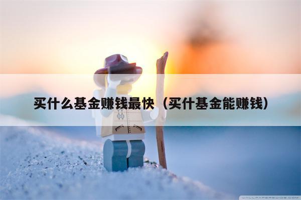 买什么基金赚钱最快（买什基金能赚钱）