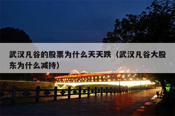 武汉凡谷的股票为什么天天跌（武汉凡谷大股东为什么减持）