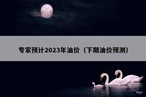 专家预计2023年油价（下期油价预测）