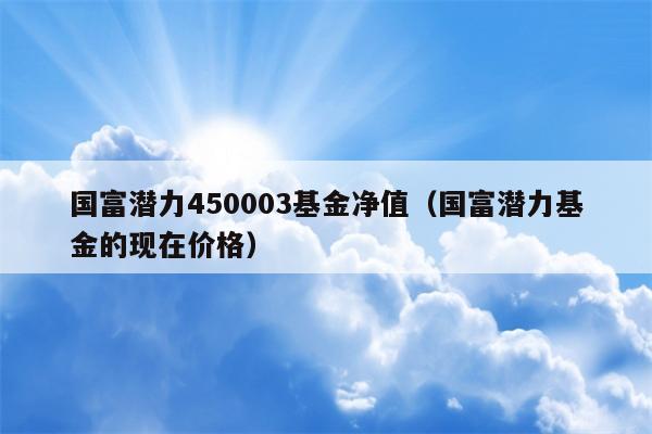 国富潜力450003基金净值（国富潜力基金的现在价格）