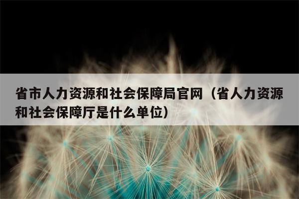 省市人力资源和社会保障局官网（省人力资源和社会保障厅是什么单位）