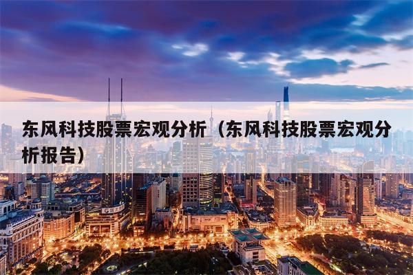 东风科技股票宏观分析（东风科技股票宏观分析报告）