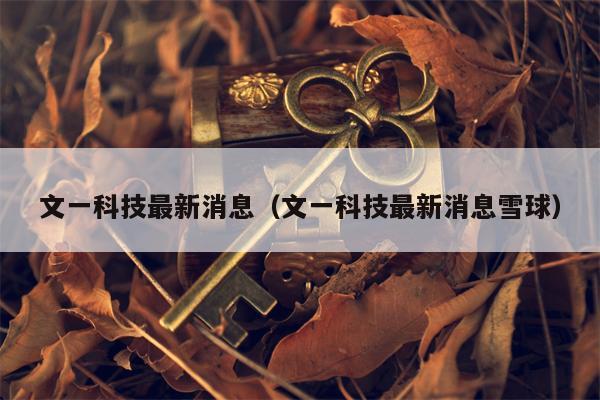 文一科技最新消息（文一科技最新消息雪球）