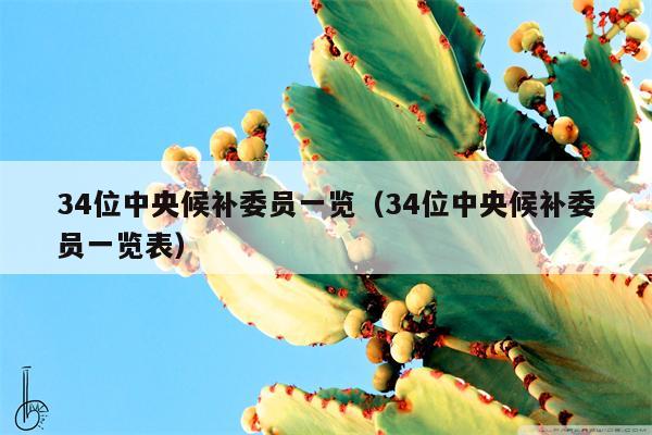 34位中央候补委员一览（34位中央候补委员一览表）