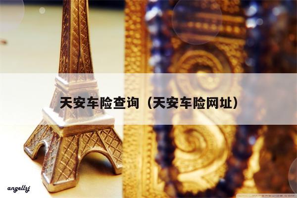 天安车险查询（天安车险网址）