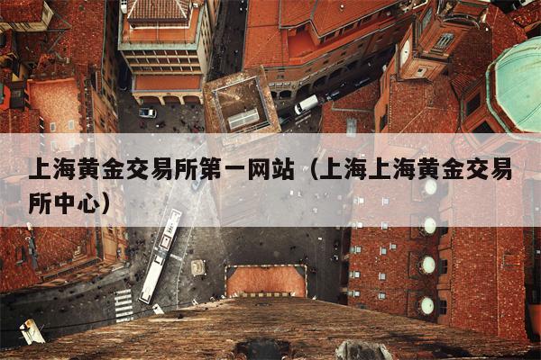 上海黄金交易所第一网站（上海上海黄金交易所中心）