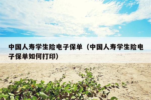 中国人寿学生险电子保单（中国人寿学生险电子保单如何打印）