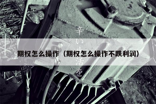 期权怎么操作（期权怎么操作不跌利润）