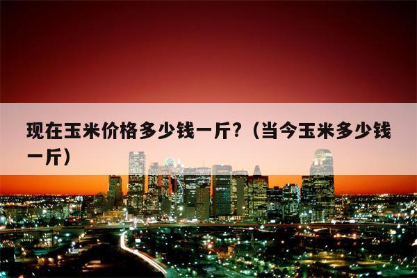 现在玉米价格多少钱一斤?（当今玉米多少钱一斤）