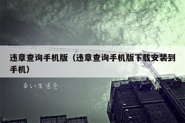 违章查询手机版（违章查询手机版下载安装到手机）