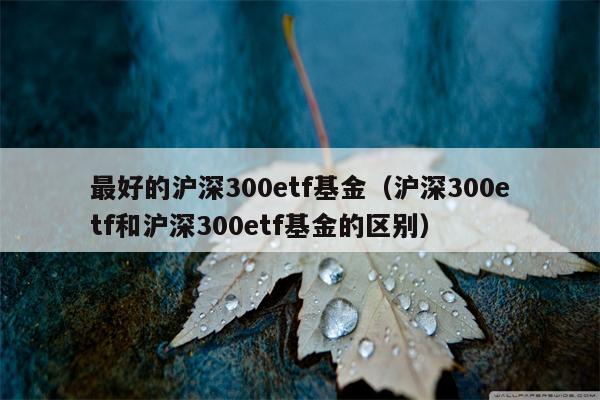 最好的沪深300etf基金（沪深300etf和沪深300etf基金的区别）