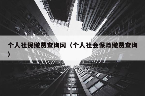 个人社保缴费查询网（个人社会保险缴费查询）