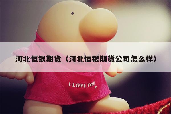 河北恒银期货（河北恒银期货公司怎么样）