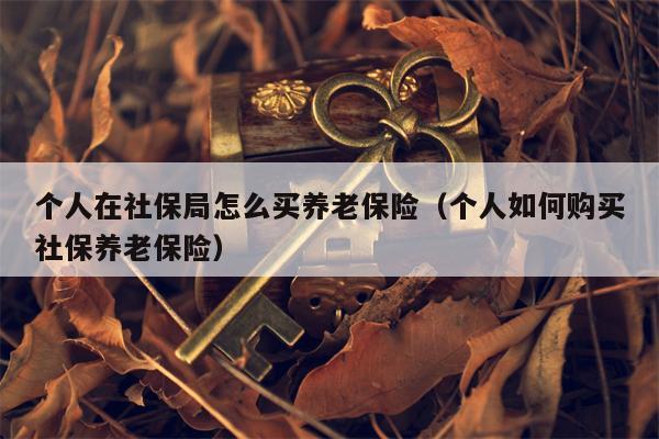 个人在社保局怎么买养老保险（个人如何购买社保养老保险）