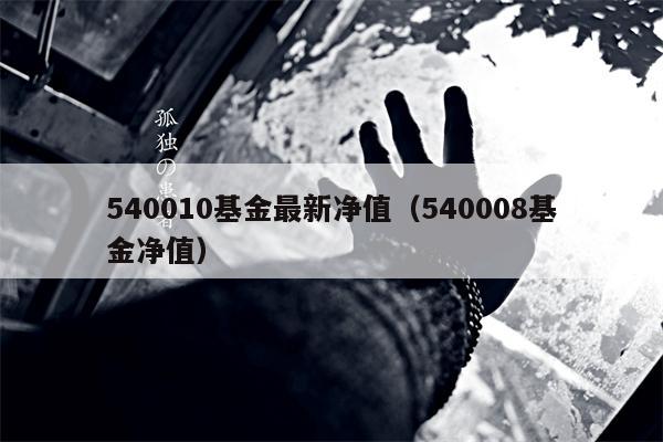 540010基金最新净值（540008基金净值）
