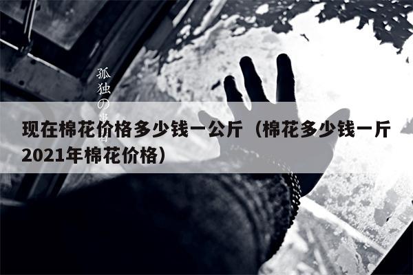 现在棉花价格多少钱一公斤（棉花多少钱一斤2021年棉花价格）