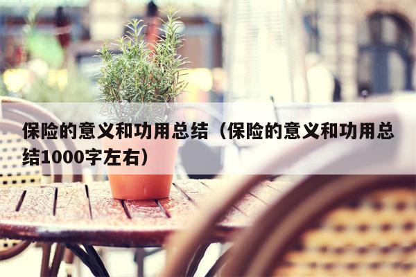 保险的意义和功用总结（保险的意义和功用总结1000字左右）