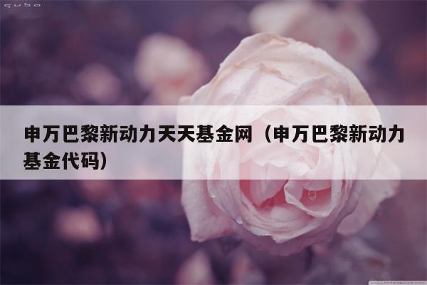 申万巴黎新动力天天基金网（申万巴黎新动力基金代码）