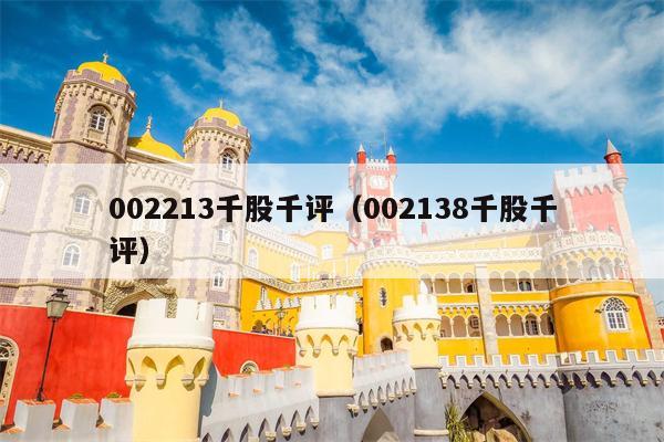 002213千股千评（002138千股千评）