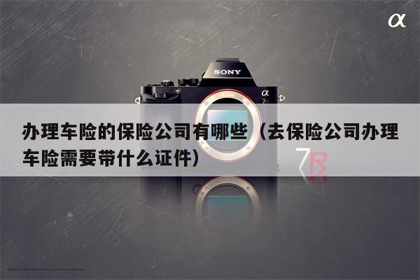 办理车险的保险公司有哪些（去保险公司办理车险需要带什么证件）