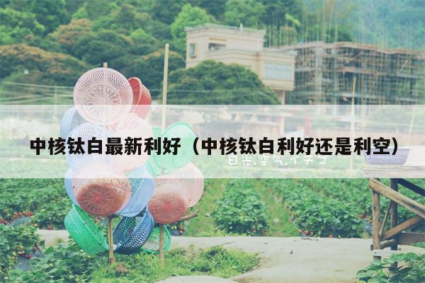 中核钛白最新利好（中核钛白利好还是利空）