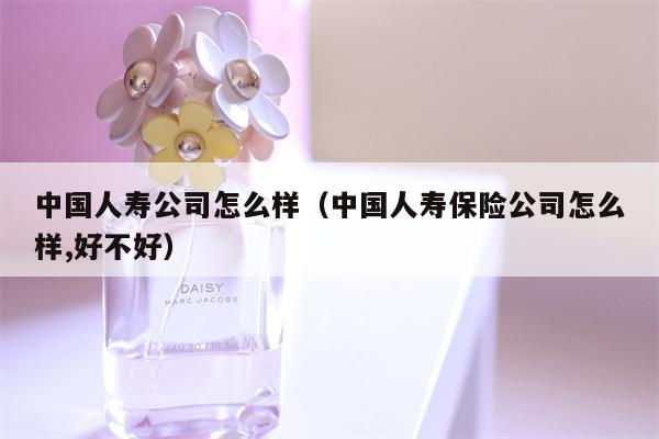 中国人寿公司怎么样（中国人寿保险公司怎么样,好不好）