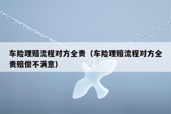 车险理赔流程对方全责（车险理赔流程对方全责赔偿不满意）