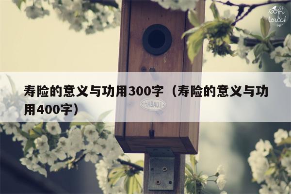 寿险的意义与功用300字（寿险的意义与功用400字）