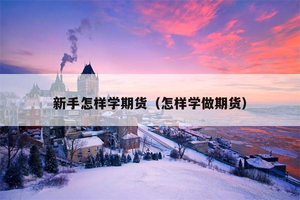 新手怎样学期货（怎样学做期货）