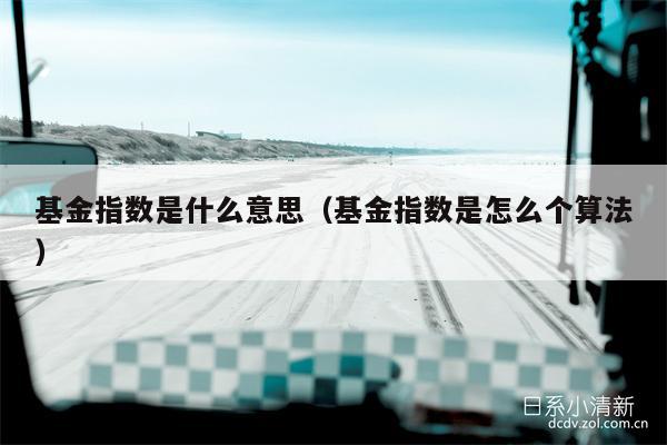 基金指数是什么意思（基金指数是怎么个算法）