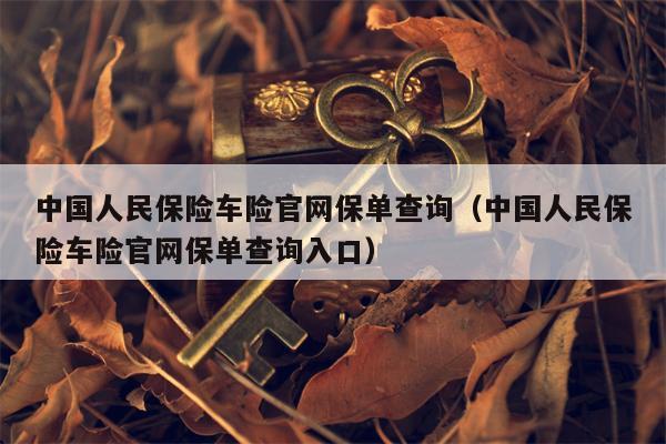 中国人民保险车险官网保单查询（中国人民保险车险官网保单查询入口）