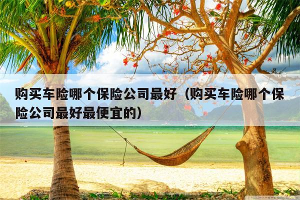 购买车险哪个保险公司最好（购买车险哪个保险公司最好最便宜的）
