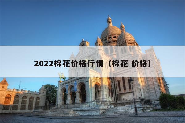 2022棉花价格行情（棉花 价格）