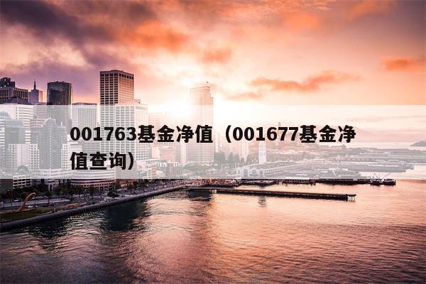 001763基金净值（001677基金净值查询）