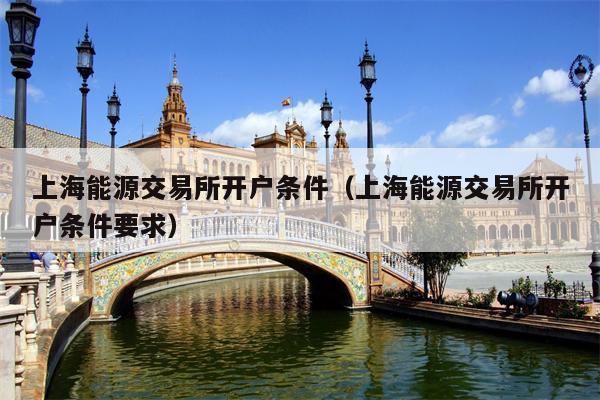 上海能源交易所开户条件（上海能源交易所开户条件要求）