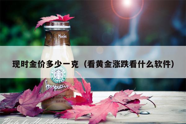 现时金价多少一克（看黄金涨跌看什么软件）