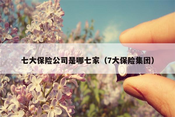 七大保险公司是哪七家（7大保险集团）
