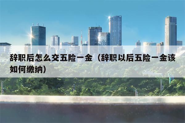 辞职后怎么交五险一金（辞职以后五险一金该如何缴纳）