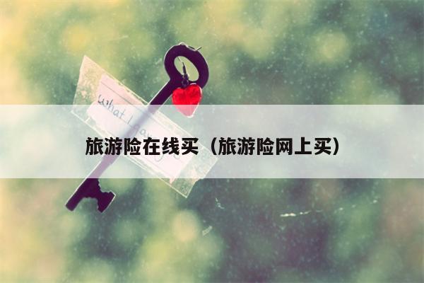 旅游险在线买（旅游险网上买）