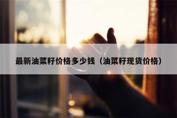 最新油菜籽价格多少钱（油菜籽现货价格）