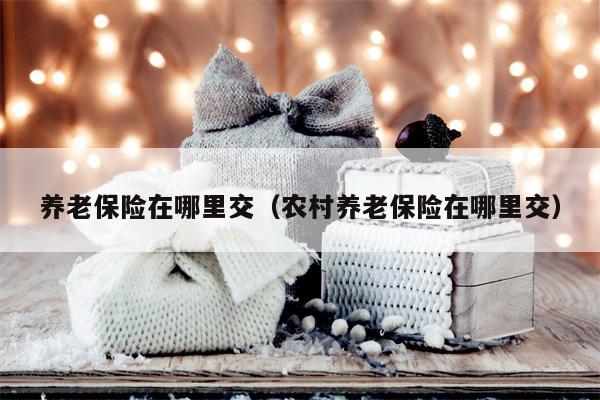 养老保险在哪里交（农村养老保险在哪里交）